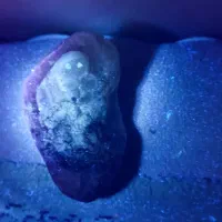 غول چراغ سنگ کلکسیونی