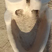 تنور و منقل|اجاق گاز و لوازم برقی پخت‌وپز|شبانکاره, |دیوار