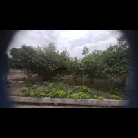 باغ میوه در بافت روستا شورابسر