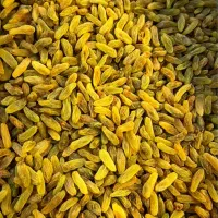 کشمش|خوردنی و آشامیدنی|یزد, |دیوار