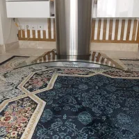 هود آشپزخانه رکسین