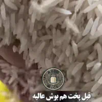 برنج ایرانی/هاشمی/طارم|عمدهفروشی|گیلان غرب, |دیوار