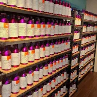 پخش عطر ایلیا