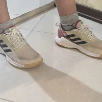 کفش والیبال