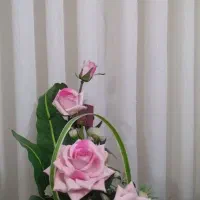 گل خواستگاری