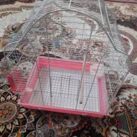 قفس پرنده