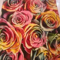 فرش طرح گل شاد نونو|فرش|هشتگرد, فاز ۲ مهستان|دیوار