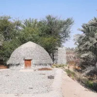 باغ یک هکتاری|فروش زمین و ملک کلنگی|بند زرک, |دیوار