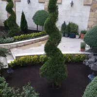 خدمات باغبانی باغچه کاری کاشت گل وگیاه باغبان سیار|خدمات باغبانی و درختکاری|تهران, قیطریه|دیوار