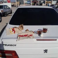 باتوجه با شرایط کشور دربستی توافقی