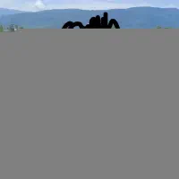 زمین کشاورزی سازمان اکبری کنارراه