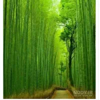 عزیزانی که بدنبال کار پردرآمد هستن)|استخدام بازاریابی و فروش|تهران, چیتگر جنوبی|دیوار