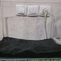 اکولریوم و لوازم جانبی