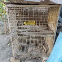 قفس مرغ|لوازم جانبی حیوانات|خوانسار, |دیوار