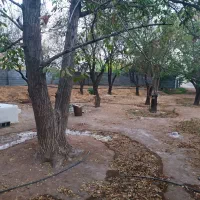 باغ بهمن|فروش زمین و ملک کلنگی|بهمن صغاد, |دیوار