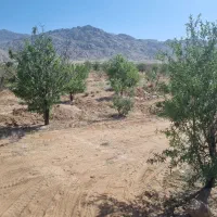 فروش زمین نیر