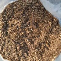 خاک گلدان کمپوست|خدمات باغبانی و درختکاری|رشت, پسیخان|دیوار