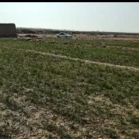 زمین کشاورزی