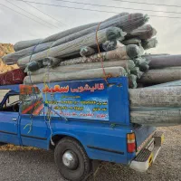 قالیشویی سعید مرند