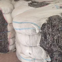 فروش پرز