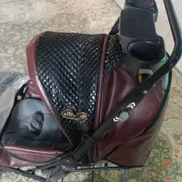 کالسکه دلیجان