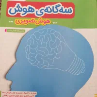 سه گانه هوش  هوش تصویری