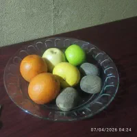 میوه مصنوعی خارجی