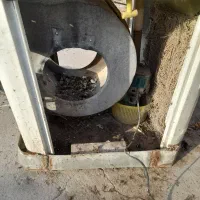 کلر آبی کوچک