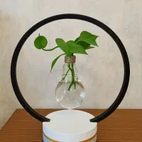 گلدان معلق آرامش