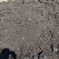 فروش انواع کودبدون واسطه|خدمات باغبانی و درختکاری|برازجان, |دیوار