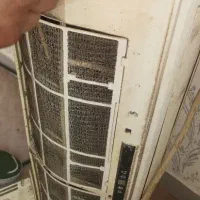 دوتیکه 24هزار تراست