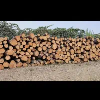 خرید چوب باغی  وچوبهای ساختمانی