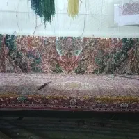 تولید مستقیم فرش دستباف تبریز ب مصرف کننده|فرش|تبریز, |دیوار