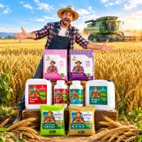 این کود باعث میشه 20% تناژ بیشتری داشته باشی