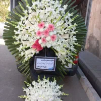 ژینوس تک الی تاج نه تیکه اروپایی گلایولی فرفورژه|خدمات پذیرایی، مراسم|تهران, آهنگ|دیوار