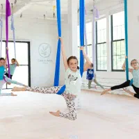 آموزش تخصصی اریال یوگا