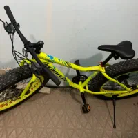 دوچرخه ساحلی کاپریلو درحد