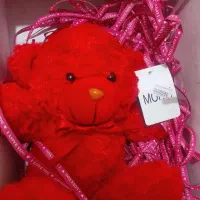 خرس ولنتاین