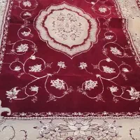 فرش ۶ متر ی|فرش|قم, نیروگاه|دیوار