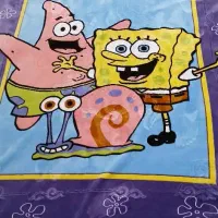 پتوی نرمینه در حد نو فقط مهمان استفاده کرده|رختخواب، بالش، پتو|دزفول, |دیوار