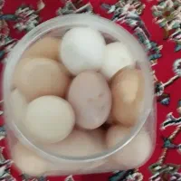 تخم مرغ نطفه دار