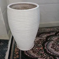 یک عدد گلدون