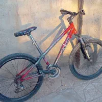 فروش دو عدد دوچرخه|دوچرخه، اسکیت، اسکوتر|بوژگان, |دیوار