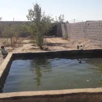 فروش-باغ