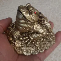 قورباغه ثروت.فنگشویی