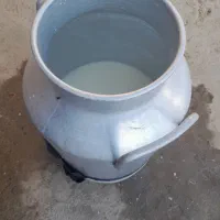 شیر گاو با چربی کامل