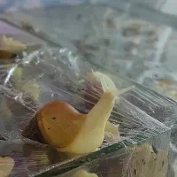 حلزون آلبینو