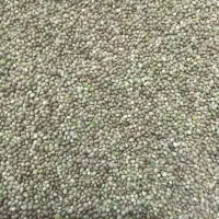 شاهدانه.تمیز بوجاری شده ۵۰ کیلو