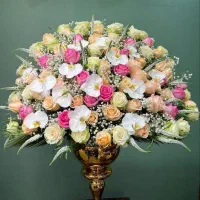گیاه آپارتمانی و باکس و دسته گل