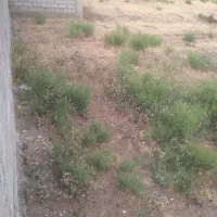 فروش فوری زمین مسکونی 225متر|فروش مغازه و غرفه|بیله سوار, |دیوار